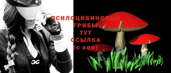 стаф Вязники