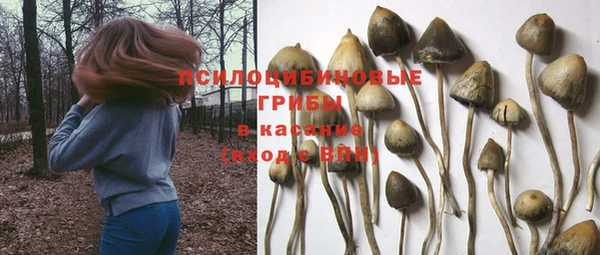 стаф Вязники