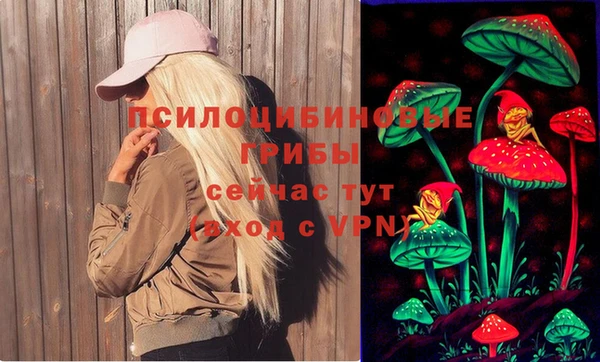 стаф Вязники