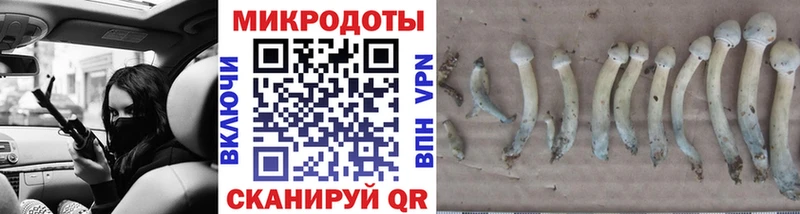 ссылка на мегу как зайти магазин продажи наркотиков Калач Галлюциногенные грибы Psilocybe